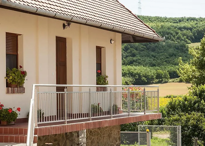 Pensiune Wekler Csaladi Pinceszet Es Panzio Mecseknádasd